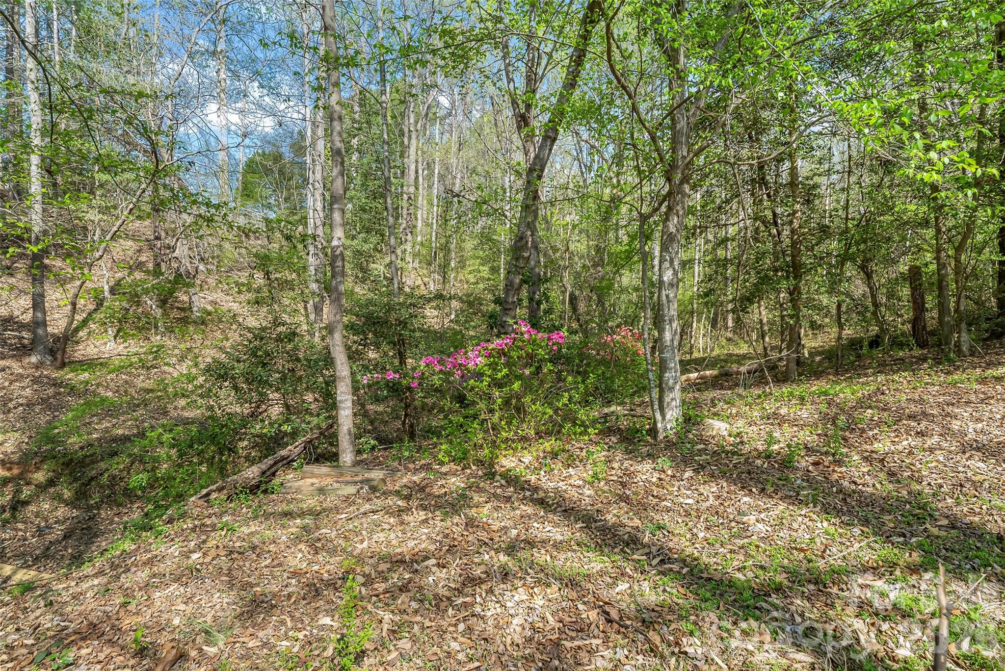 6047 Chaucer Lane Granite Falls NC 28630