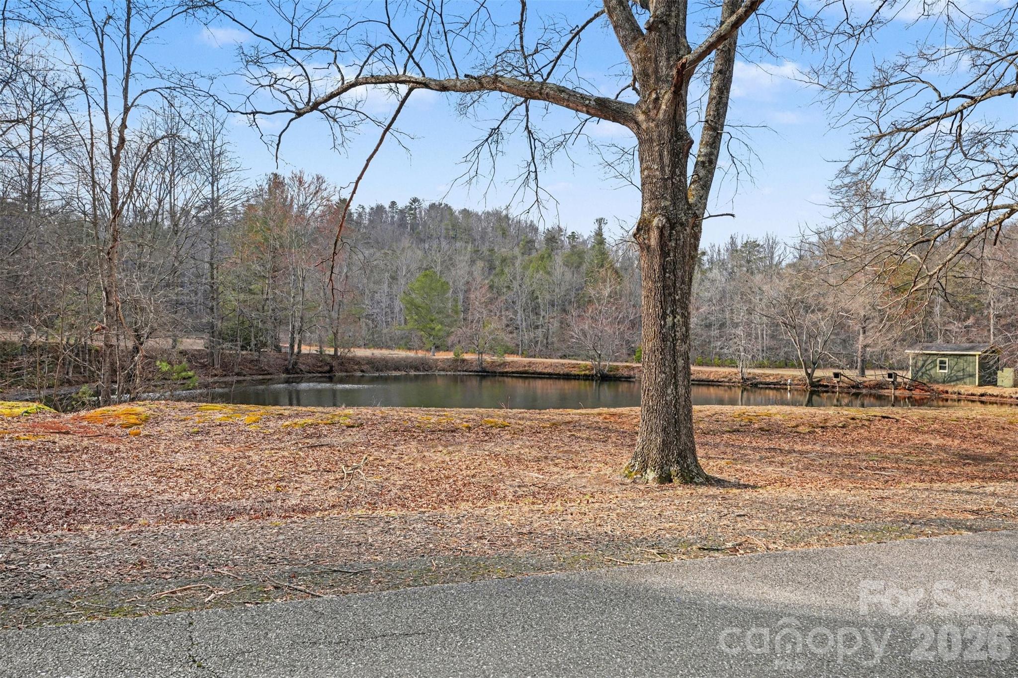 5475 Pine Ridge Drive Connelly Springs NC 28612