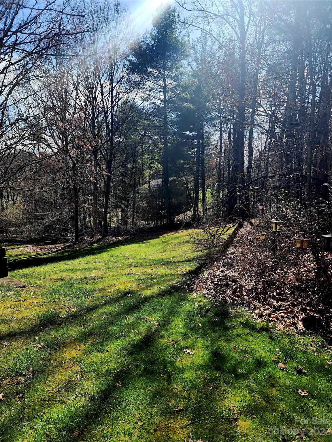 1190 Jupiter Road Weaverville NC 28787