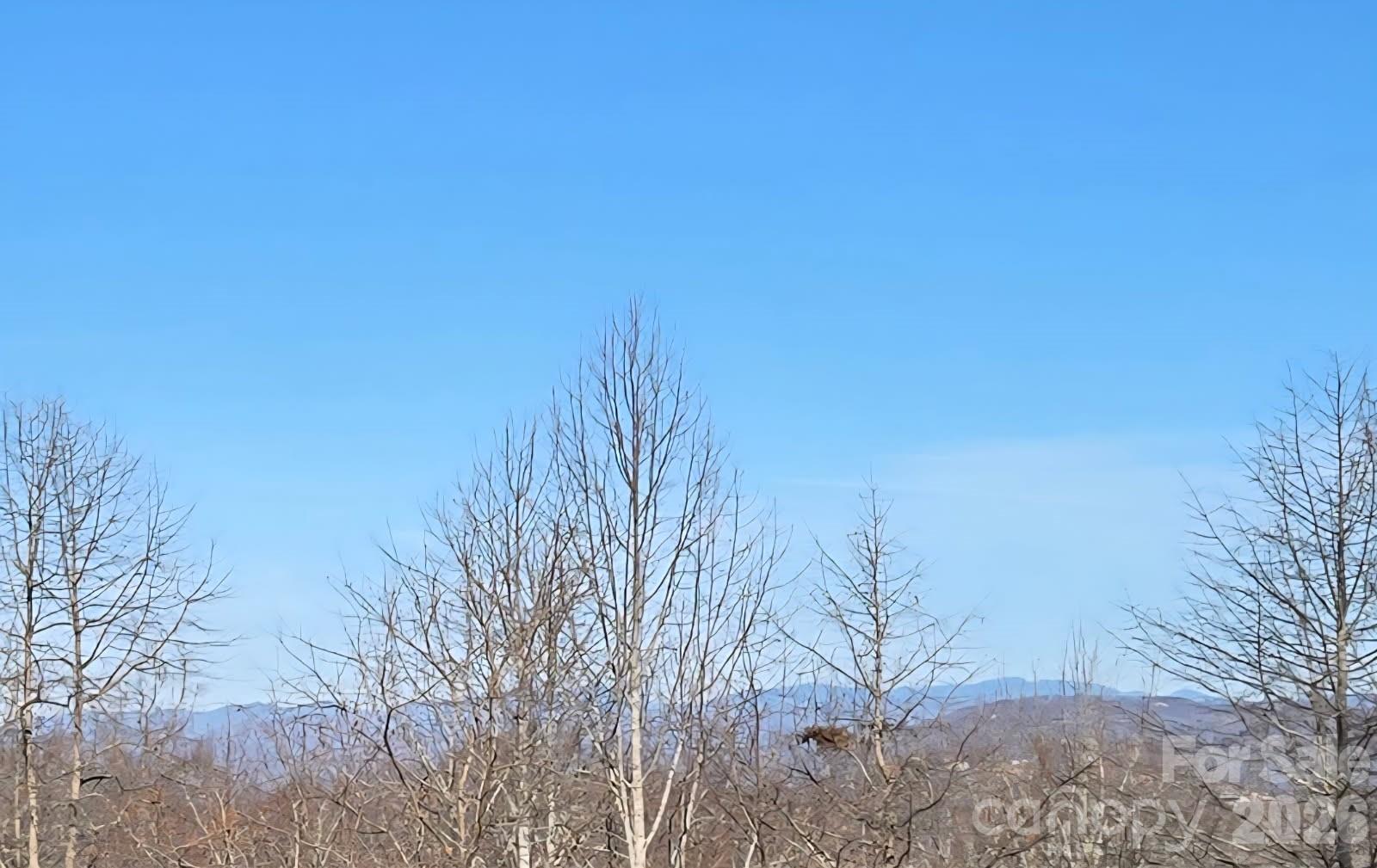 120 Breckenridge Court Hendersonville NC 28739