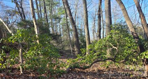 120 Breckenridge Court Hendersonville NC 28739