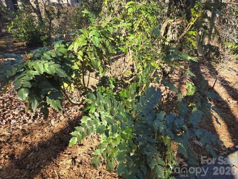 120 Breckenridge Court Hendersonville NC 28739