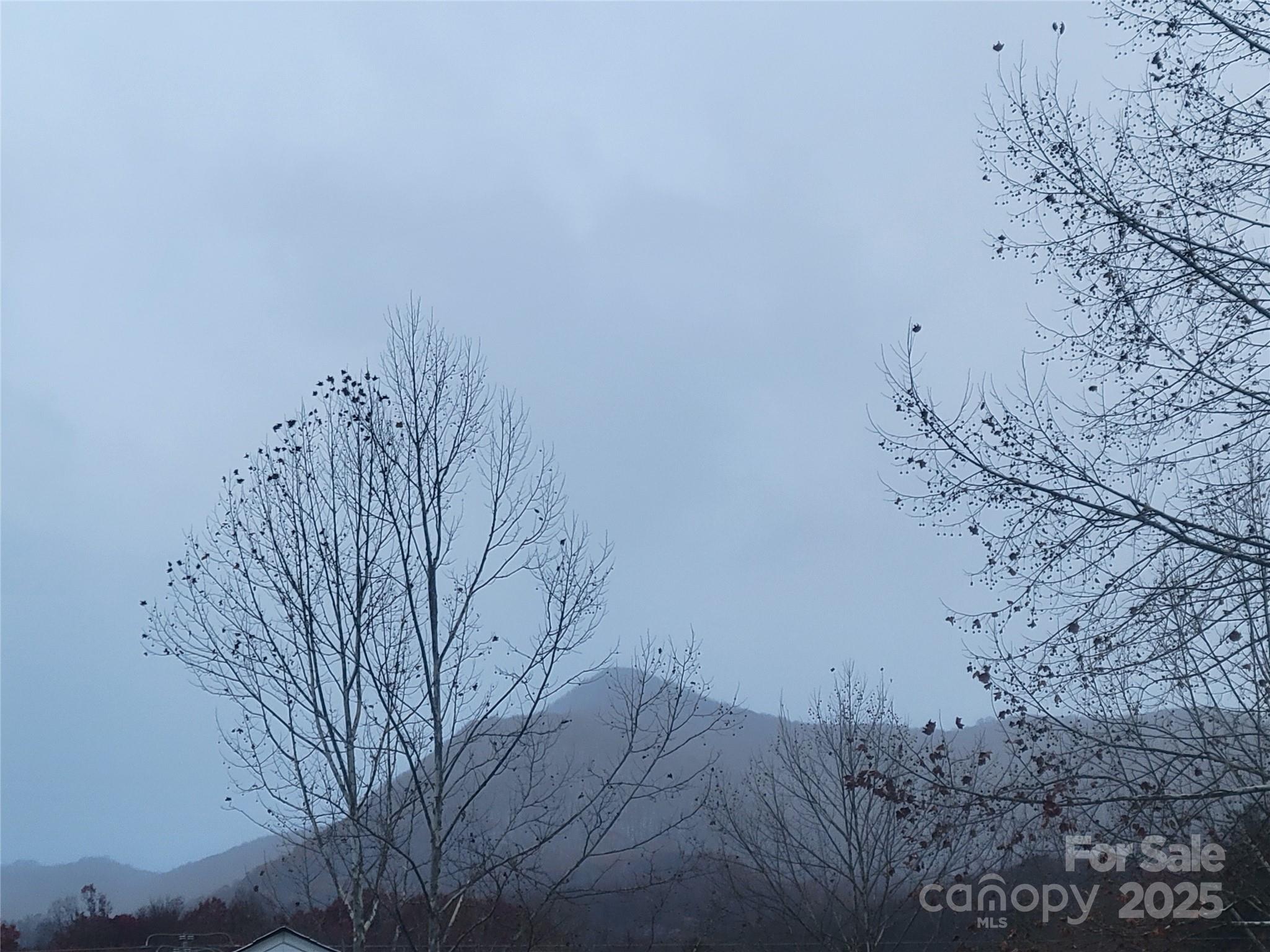 141 Pike Point Waynesville NC 28785