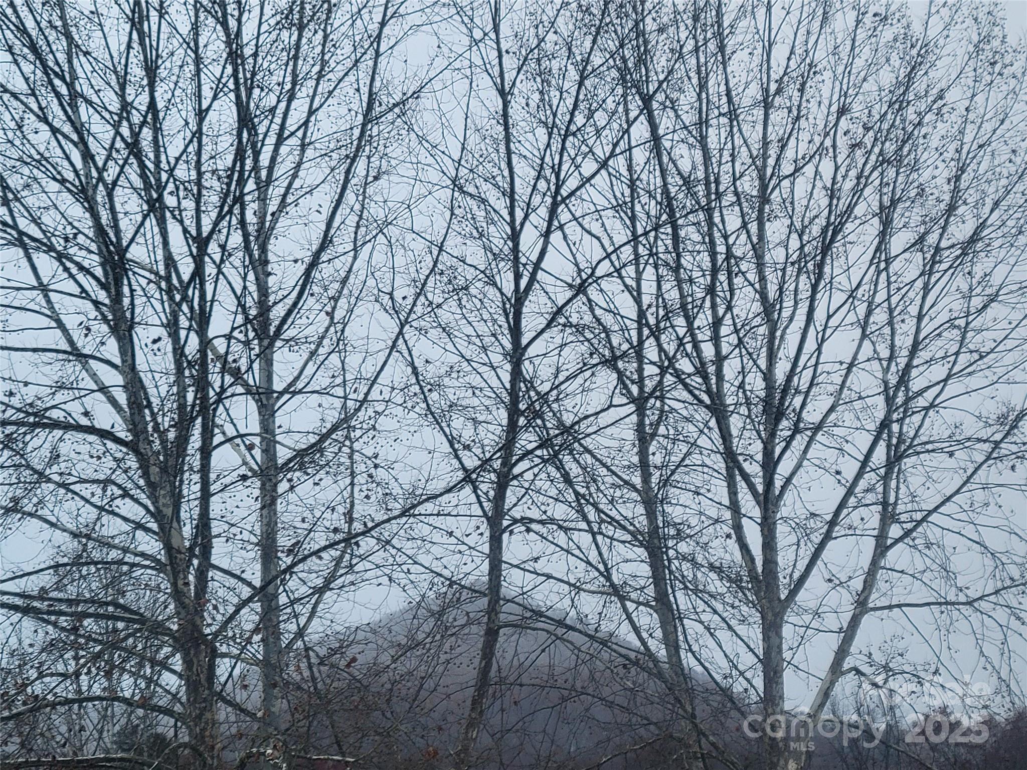 141 Pike Point Waynesville NC 28785