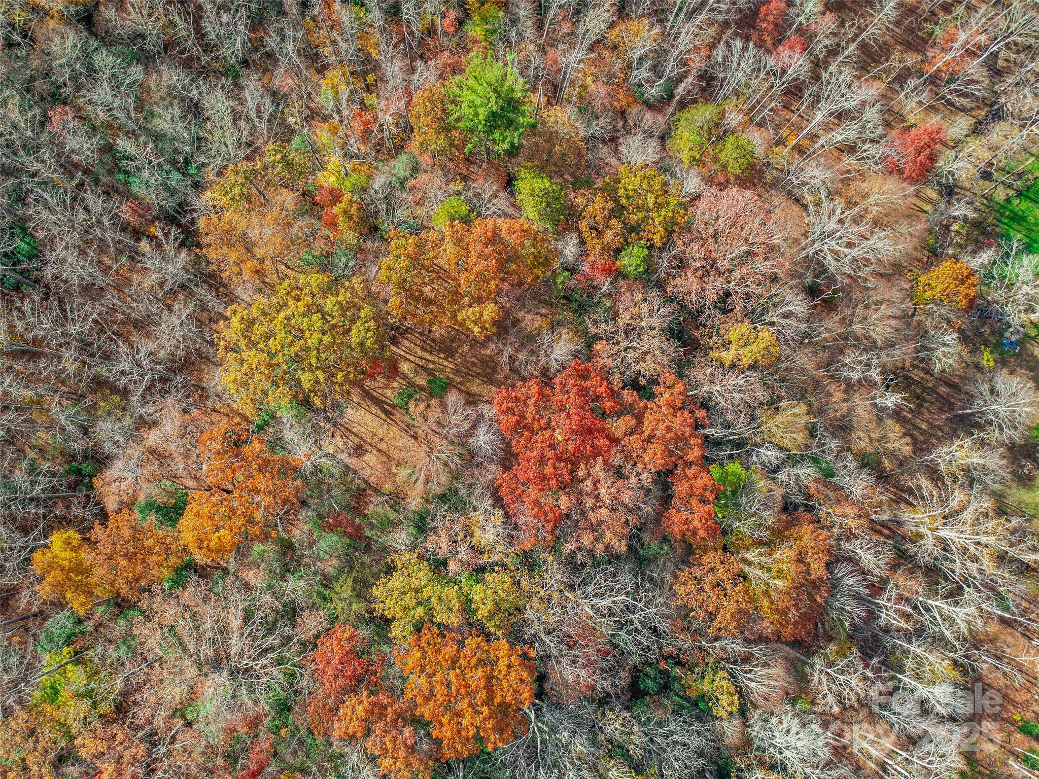 384 Flat Creek Road Fairview NC 28730