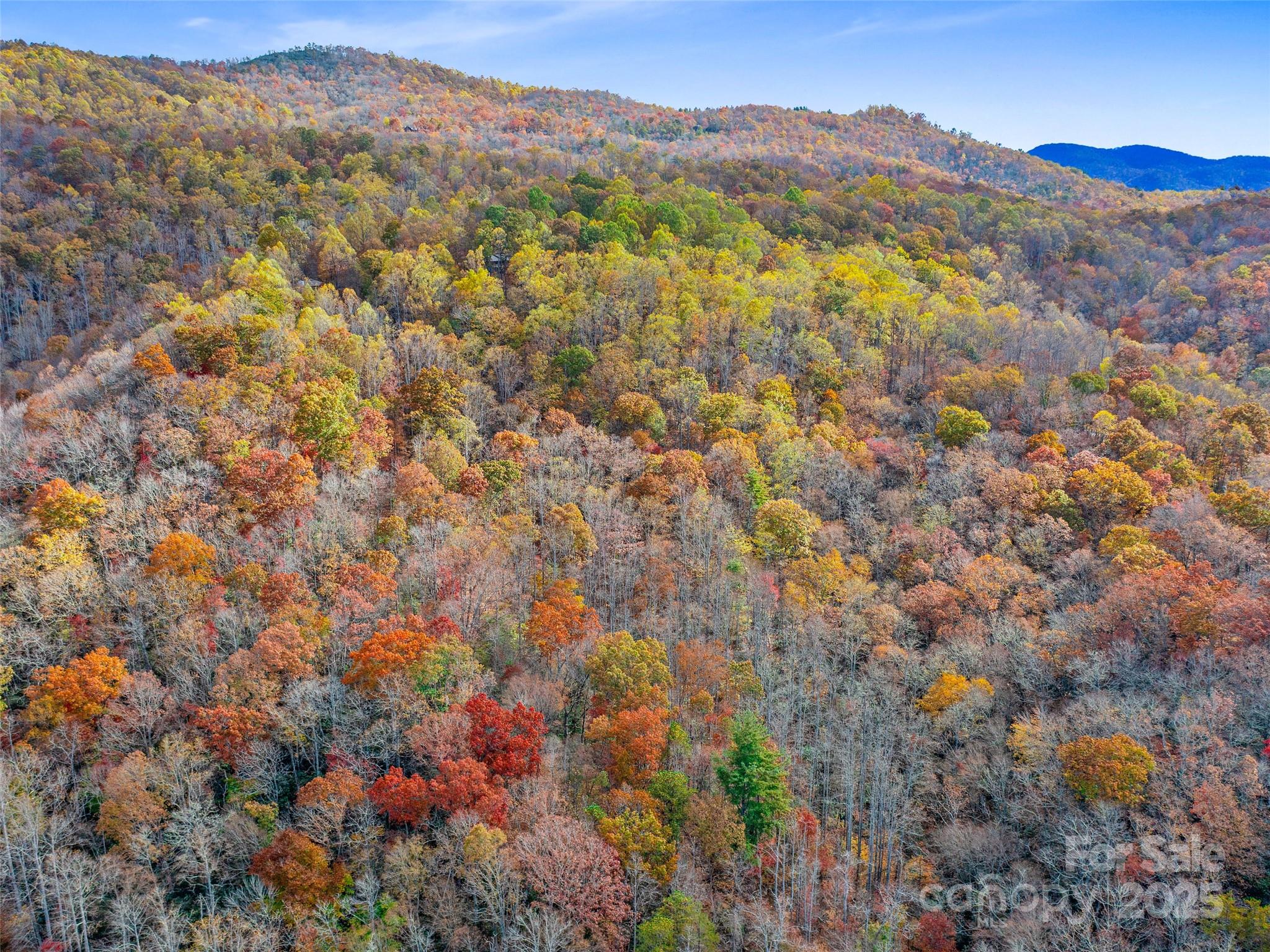 384 Flat Creek Road Fairview NC 28730