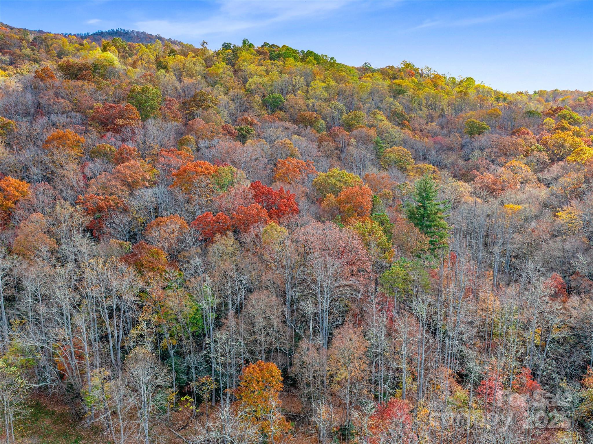 384 Flat Creek Road Fairview NC 28730