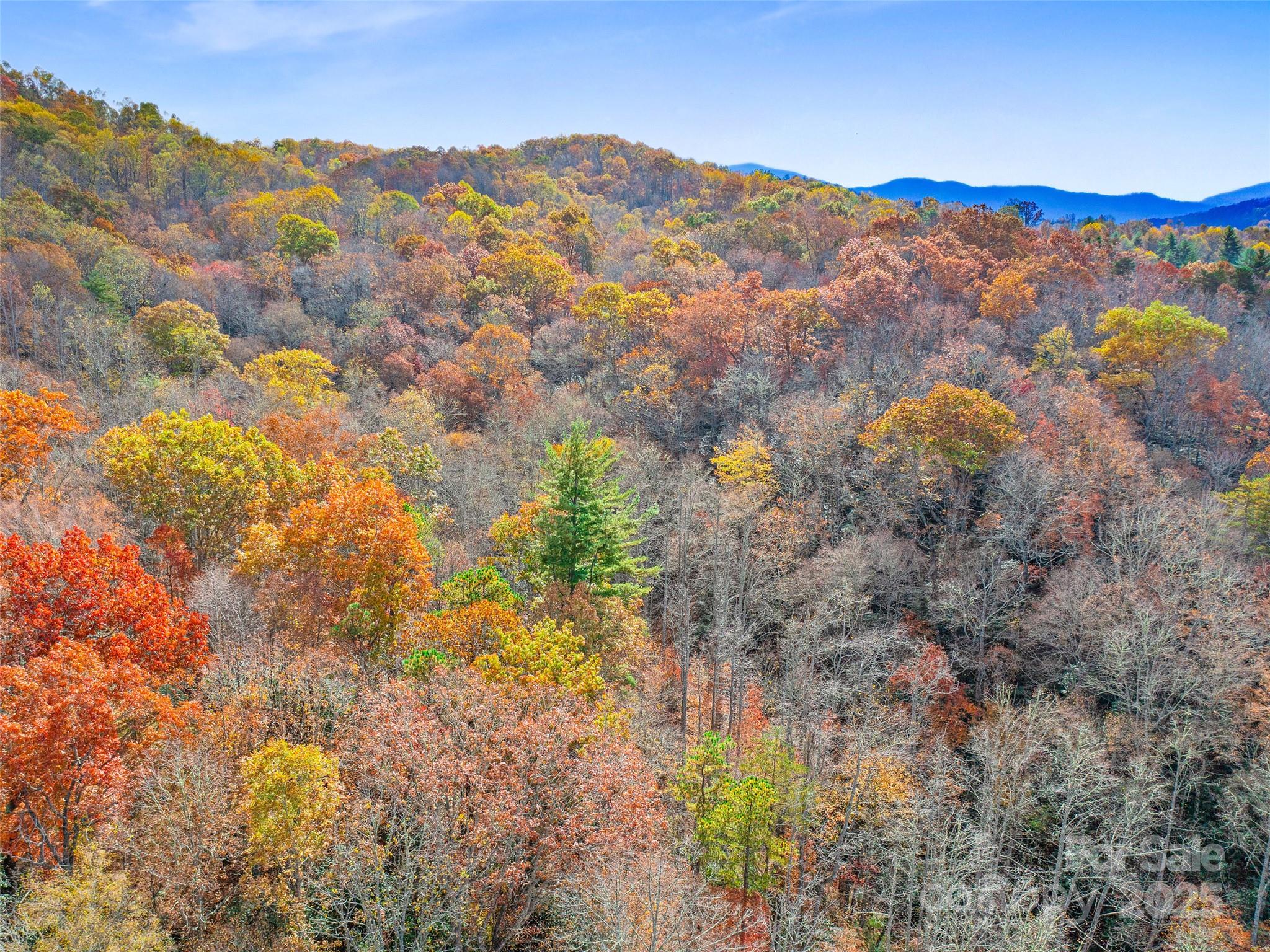 384 Flat Creek Road Fairview NC 28730