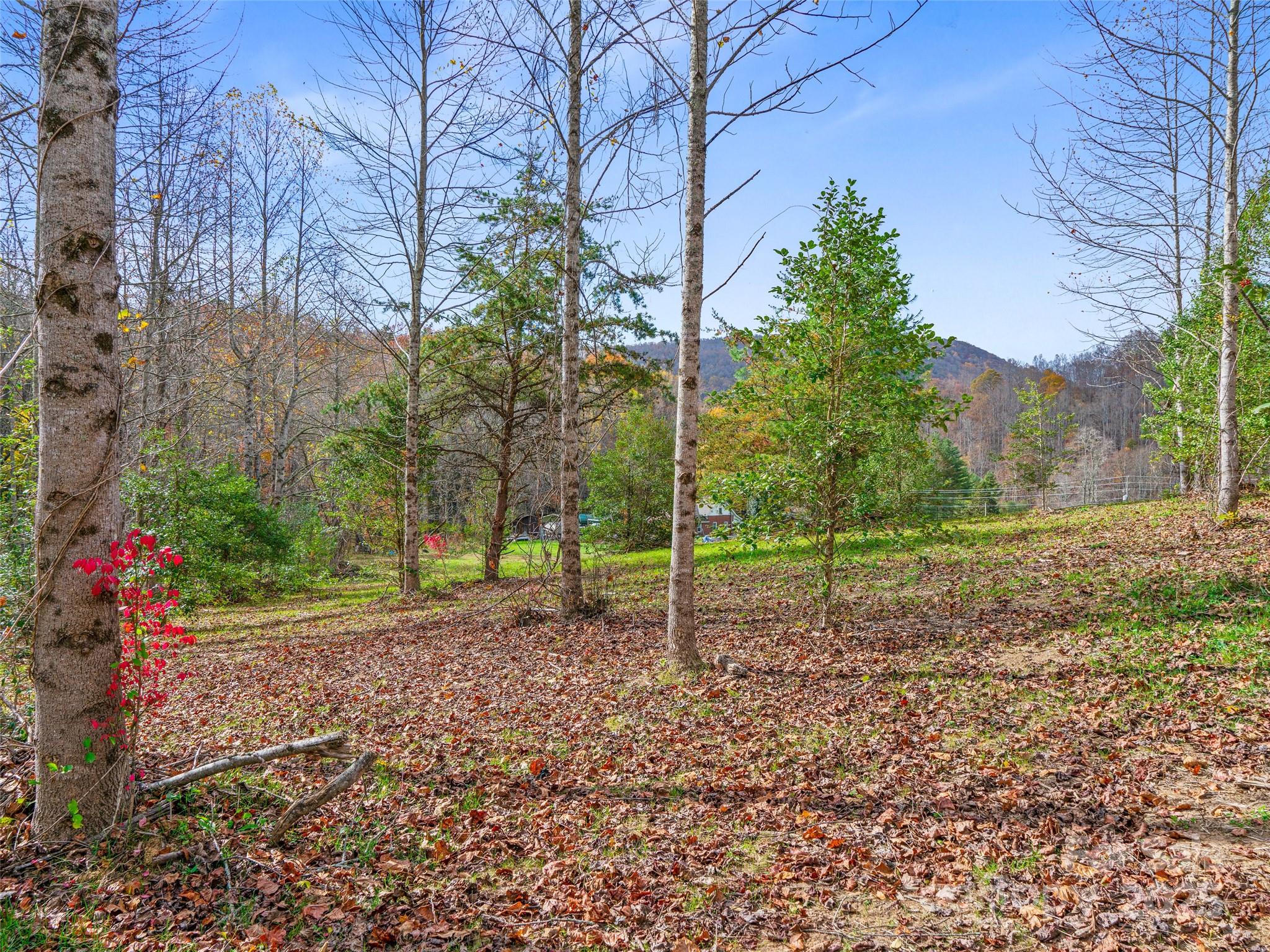 384 Flat Creek Road Fairview NC 28730
