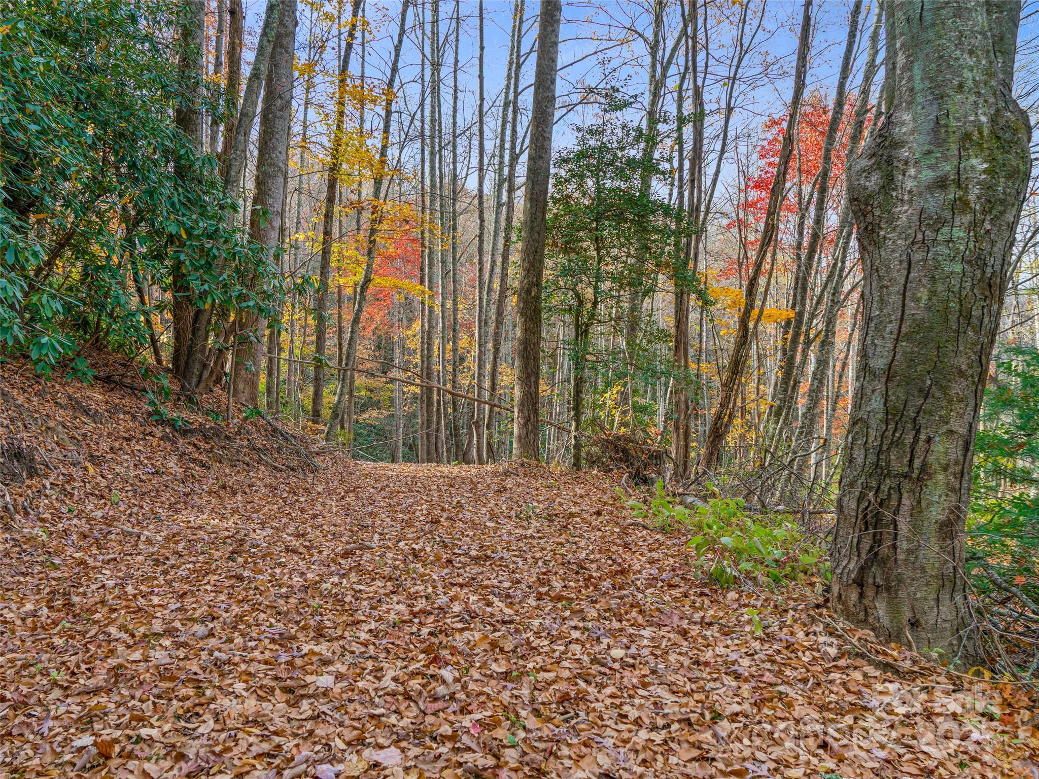 384 Flat Creek Road Fairview NC 28730