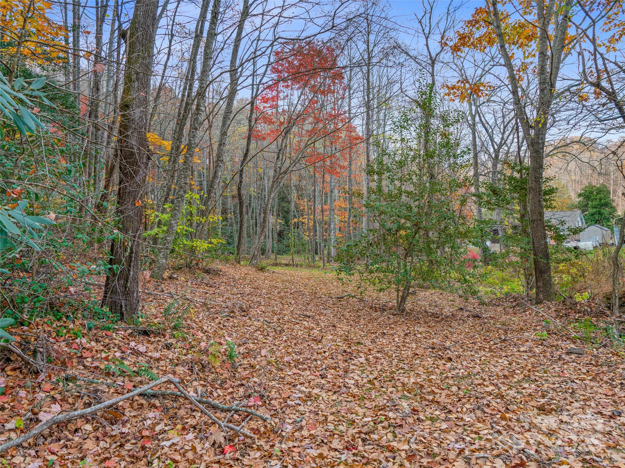 384 Flat Creek Road Fairview NC 28730