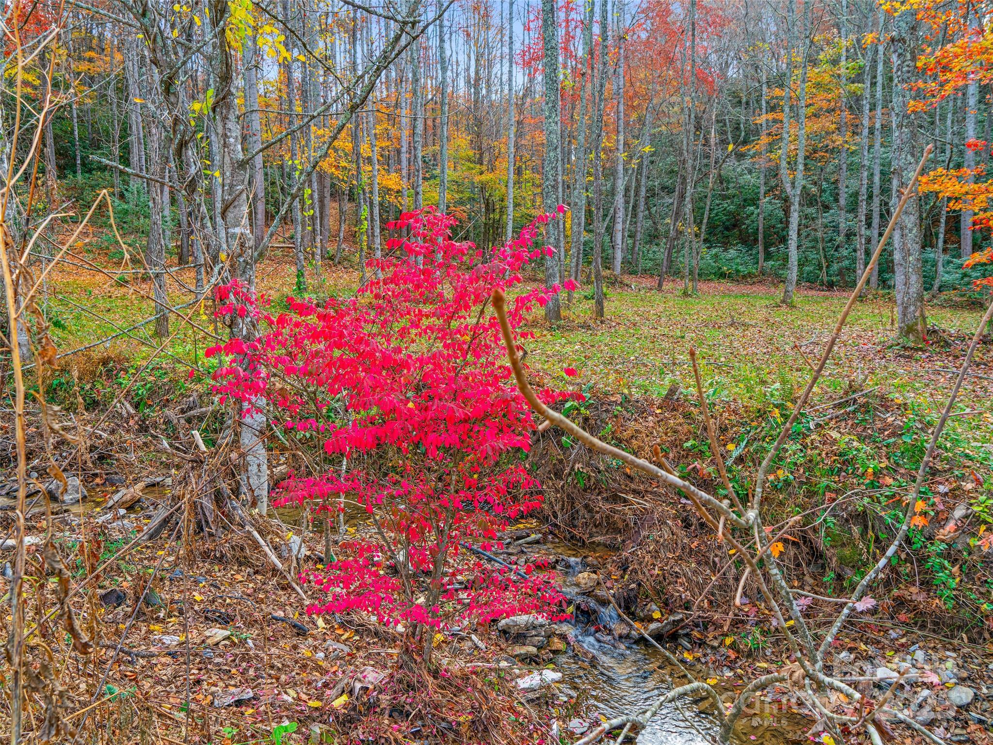 384 Flat Creek Road Fairview NC 28730