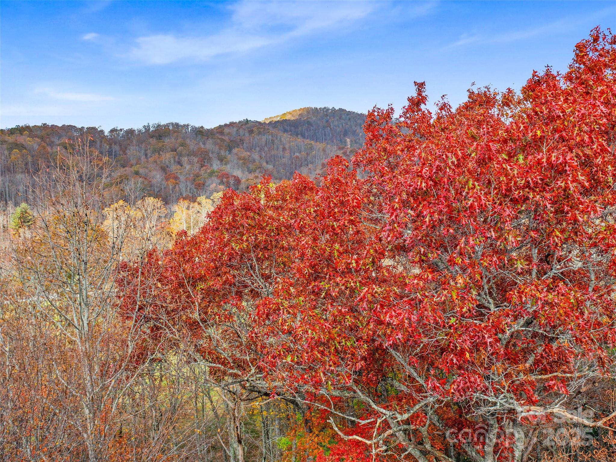 384 Flat Creek Road Fairview NC 28730