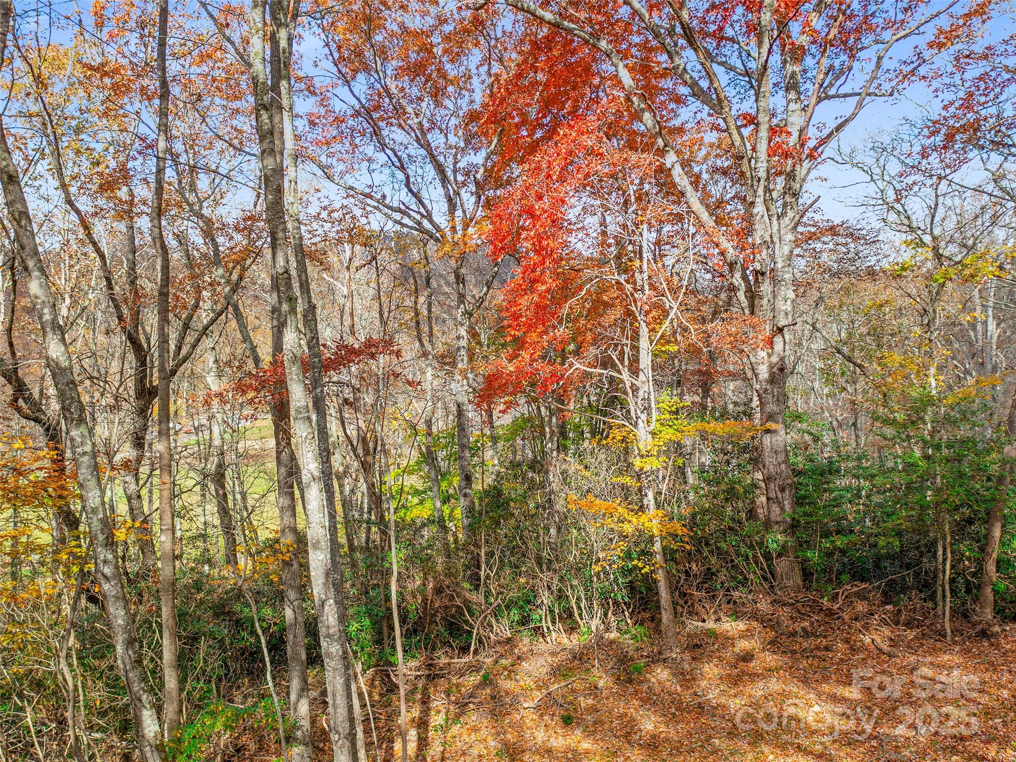 384 Flat Creek Road Fairview NC 28730