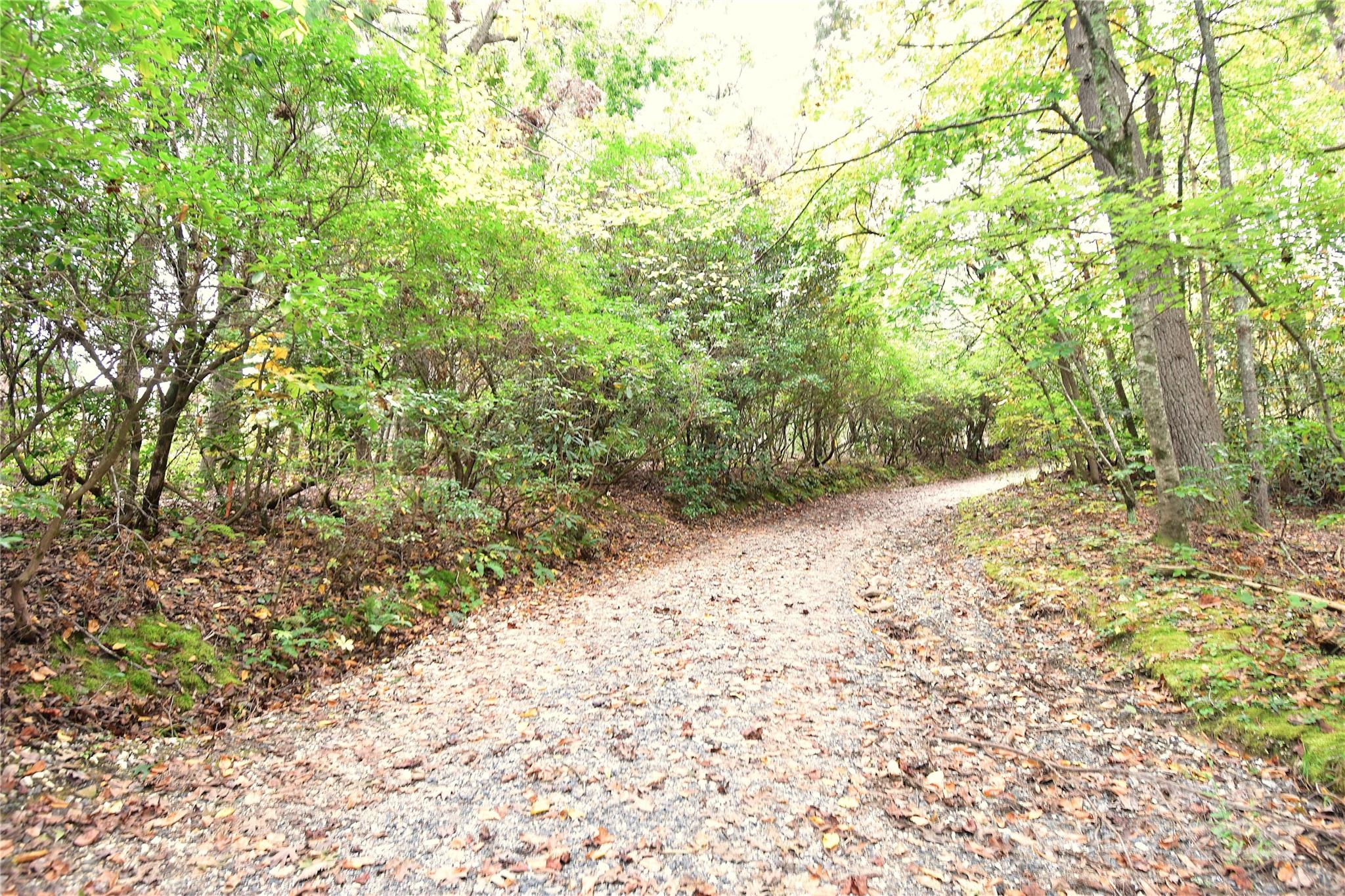 293 Holly Mountain Lane Fletcher NC 28732