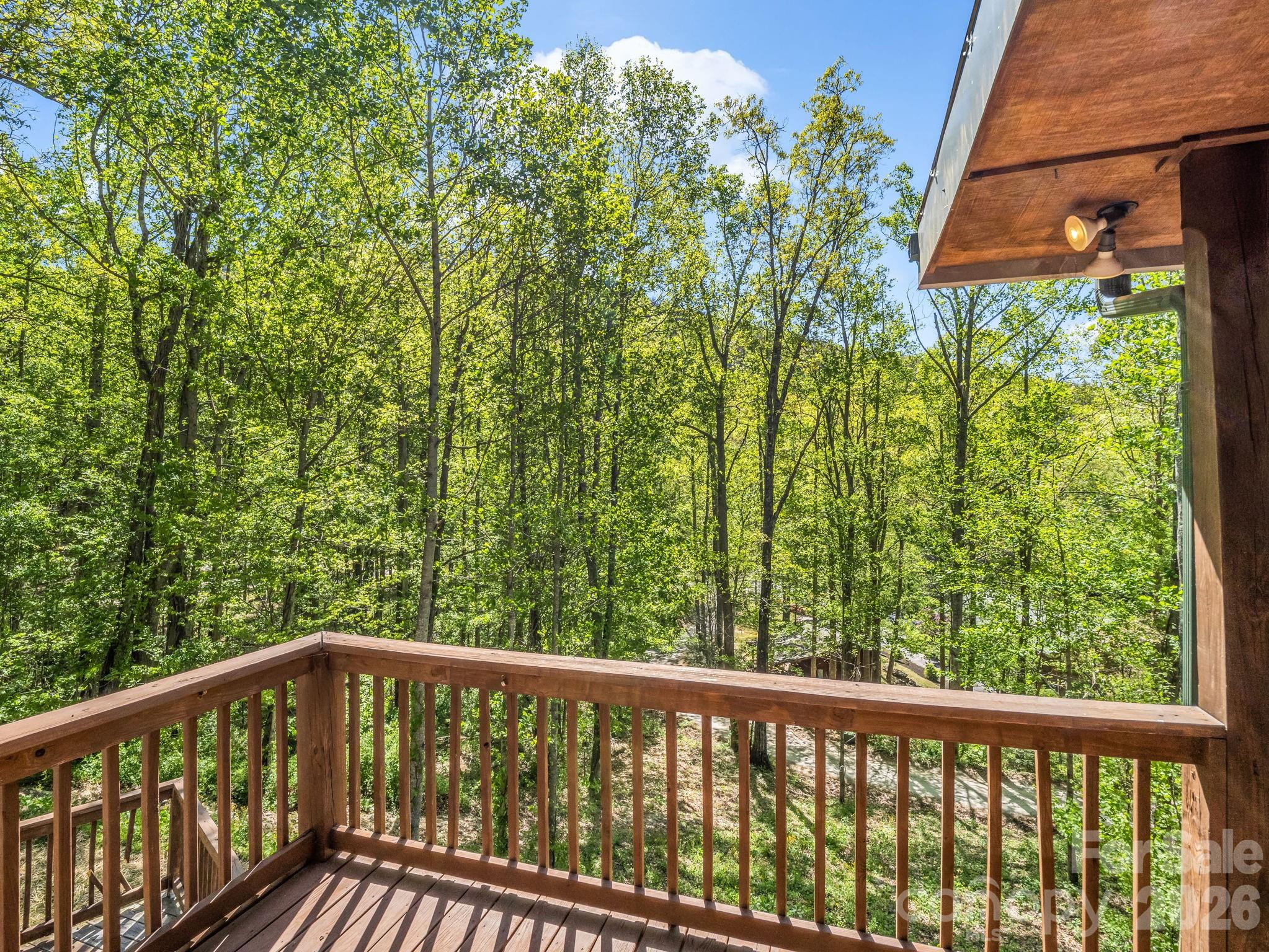 170 Old Mountain Pass Hendersonville NC 28792