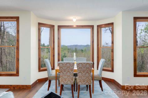 716 Peppervine Circle Brevard NC 28712