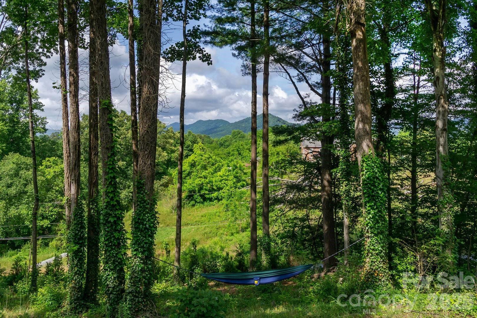 29 Friendly Drive Old Fort NC 28762