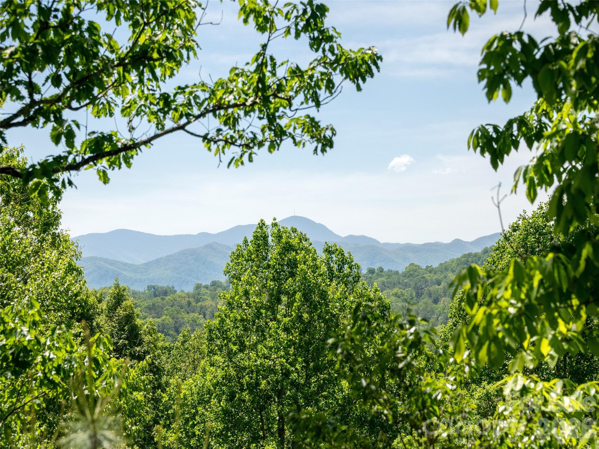 142 Sequoyah Hills Drive Fletcher NC 28732