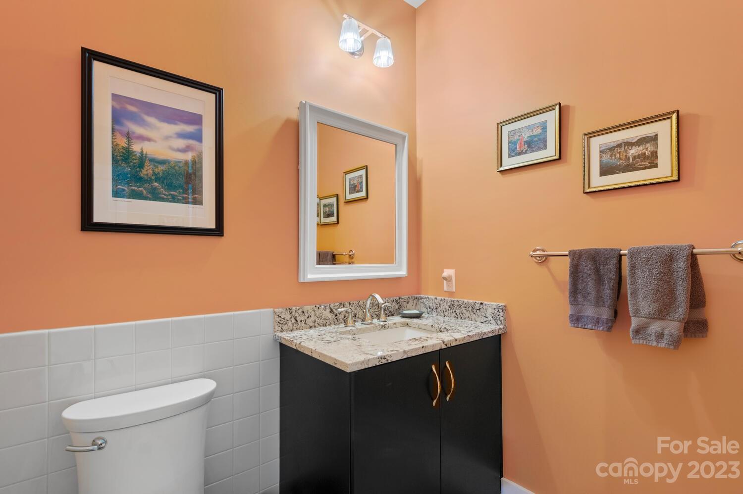 20 Piney Arbor Cove Marshall NC 28753