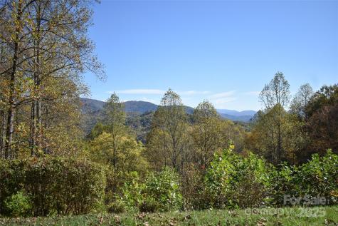336 Berry Lane Bryson City NC 28713