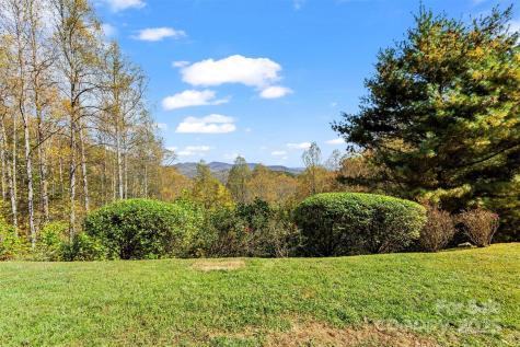 336 Berry Lane Bryson City NC 28713