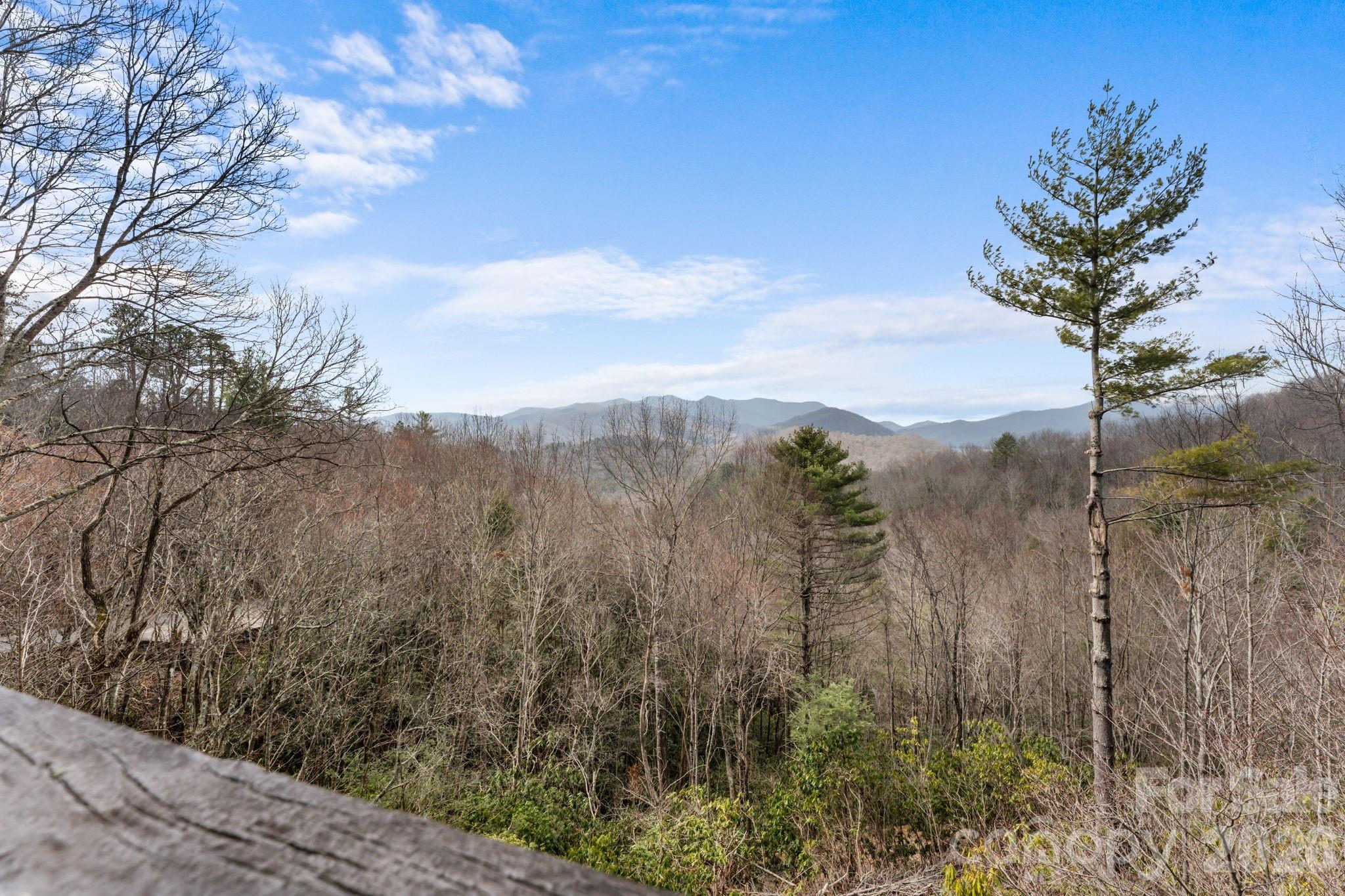 236 Valleyview Drive Topton NC 28781