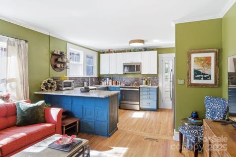 32 Florida Place Asheville NC 28806