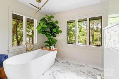 181 Lakeshore Drive Asheville NC 28804