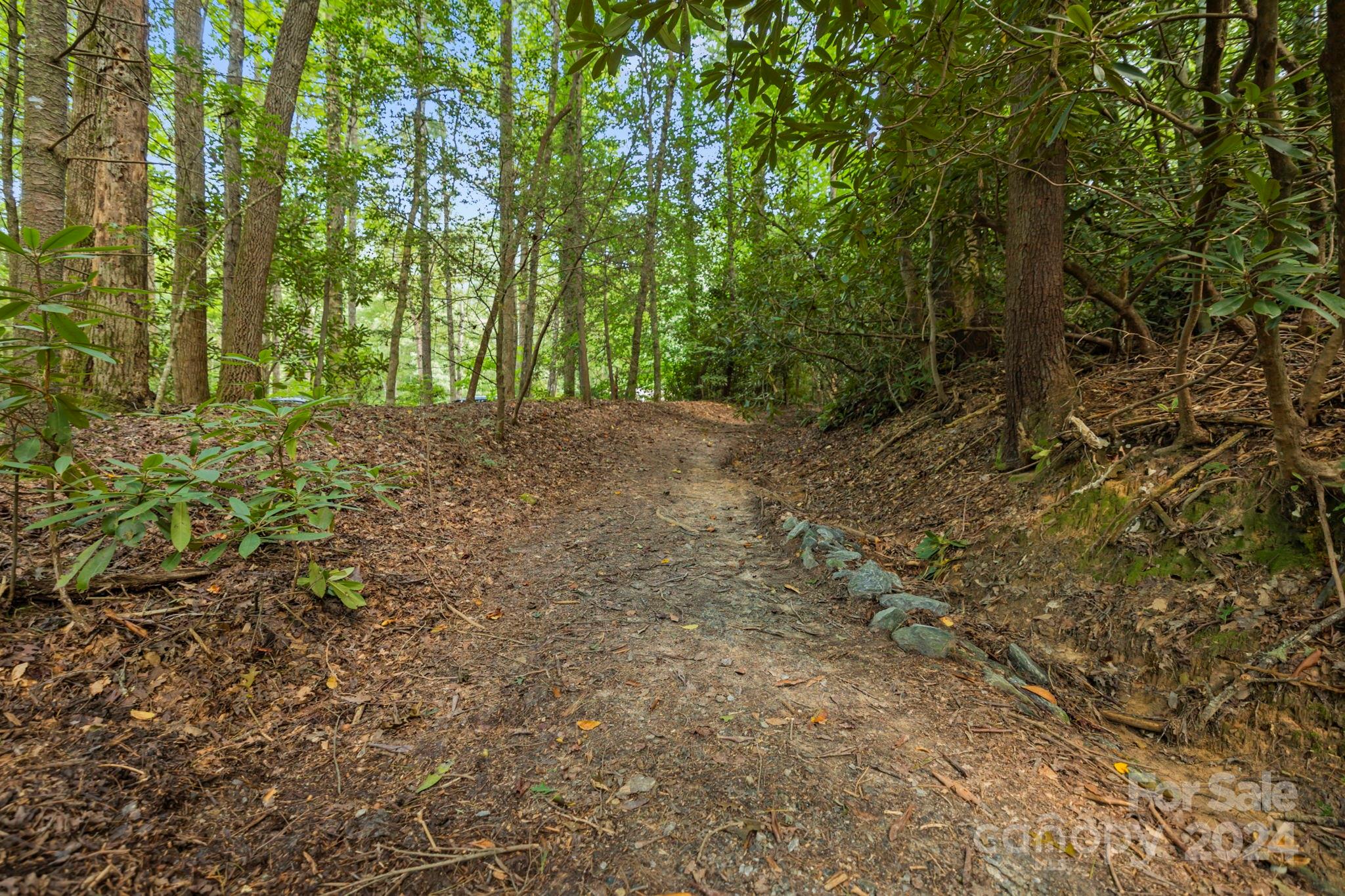 58 Lake Point Drive Pisgah Forest NC 28768