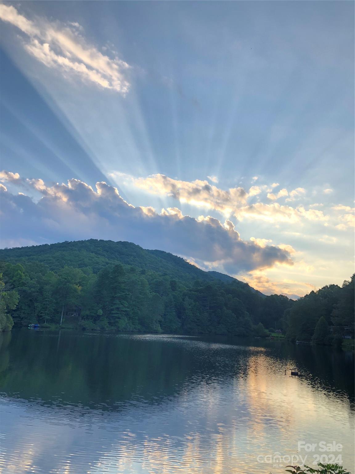 58 Lake Point Drive Pisgah Forest NC 28768