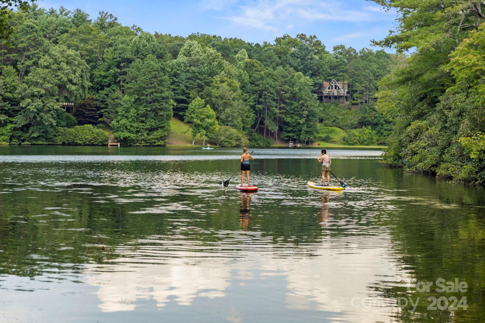58 Lake Point Drive Pisgah Forest NC 28768