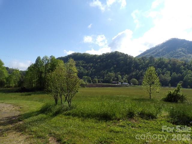 145 Kirks Drive Hot Springs NC 28743