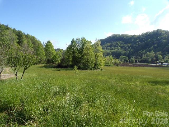 145 Kirks Drive Hot Springs NC 28743