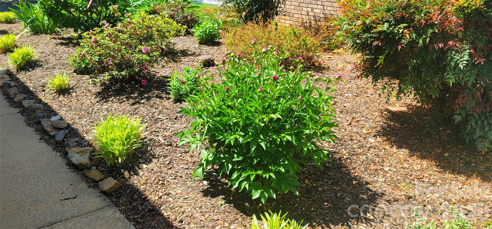 100 Thistle Knoll Court Asheville NC 28803