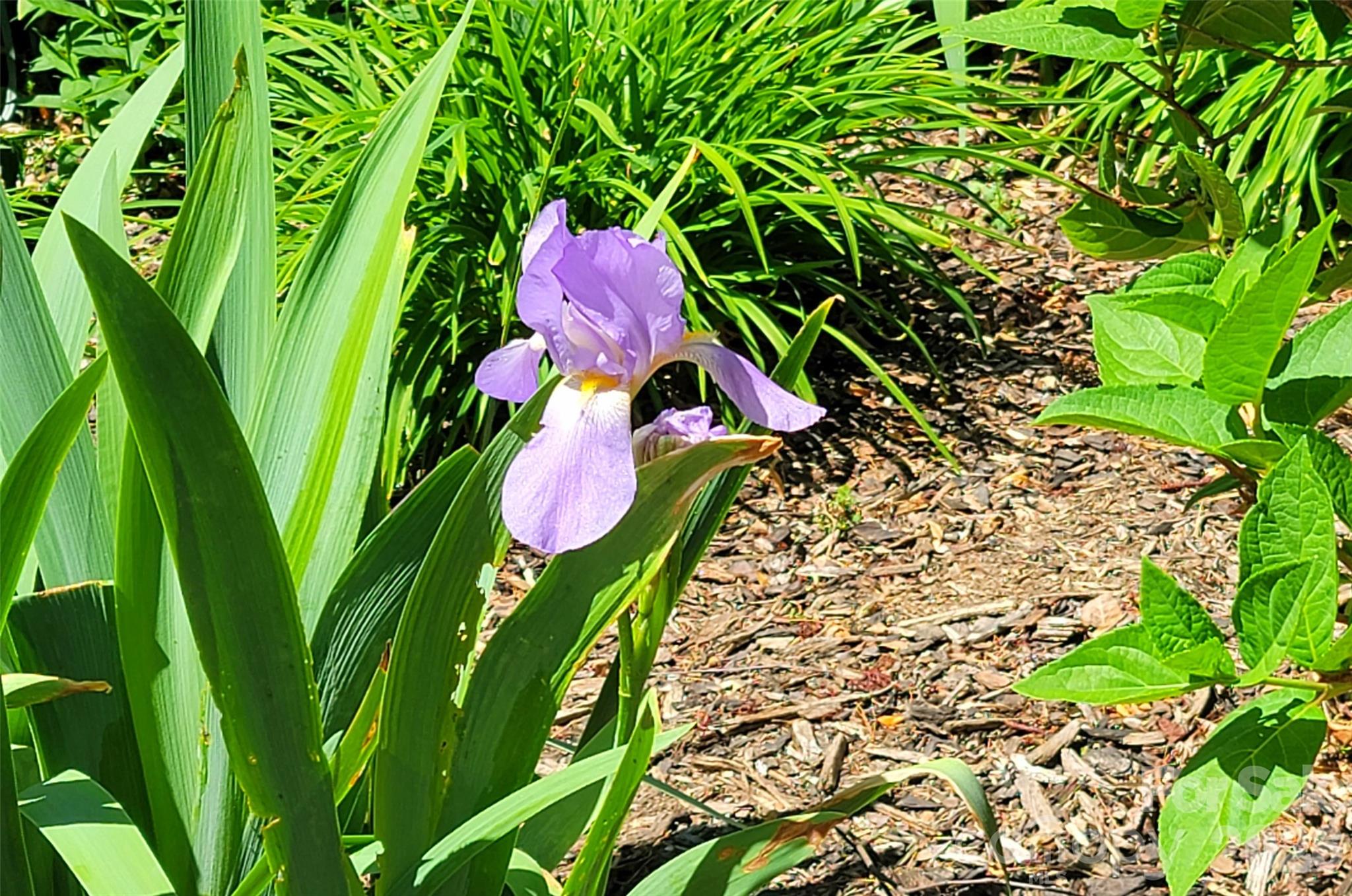 100 Thistle Knoll Court Asheville NC 28803