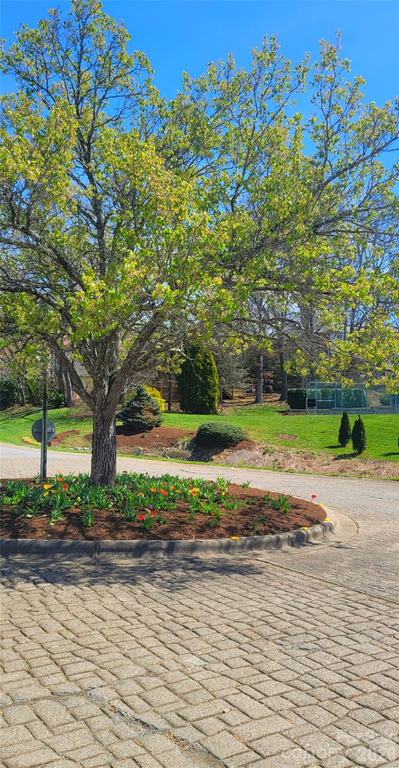 100 Thistle Knoll Court Asheville NC 28803