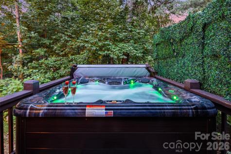 28 Grove Garden Avenue Candler NC 28715