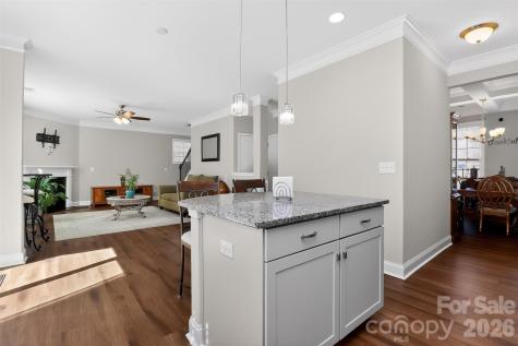 2159 Black Forest Cove Concord NC 28027