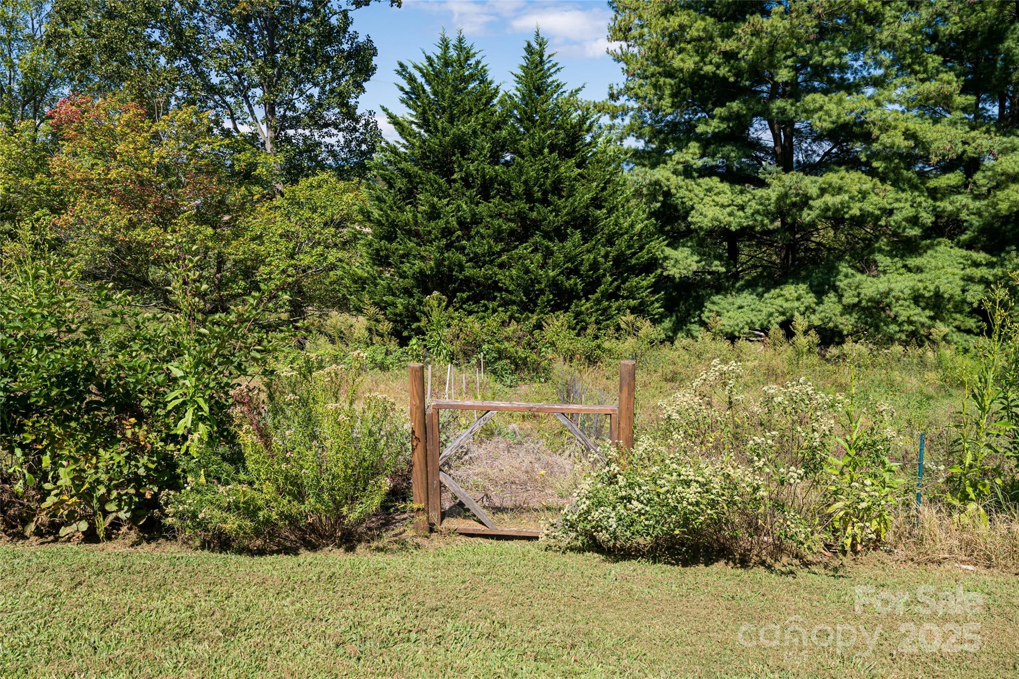 116 Dix Creek Chapel Road Asheville NC 28806