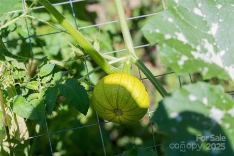 116 Dix Creek Chapel Road Asheville NC 28806