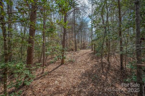 582 County Line Road Rutherfordton NC 28139