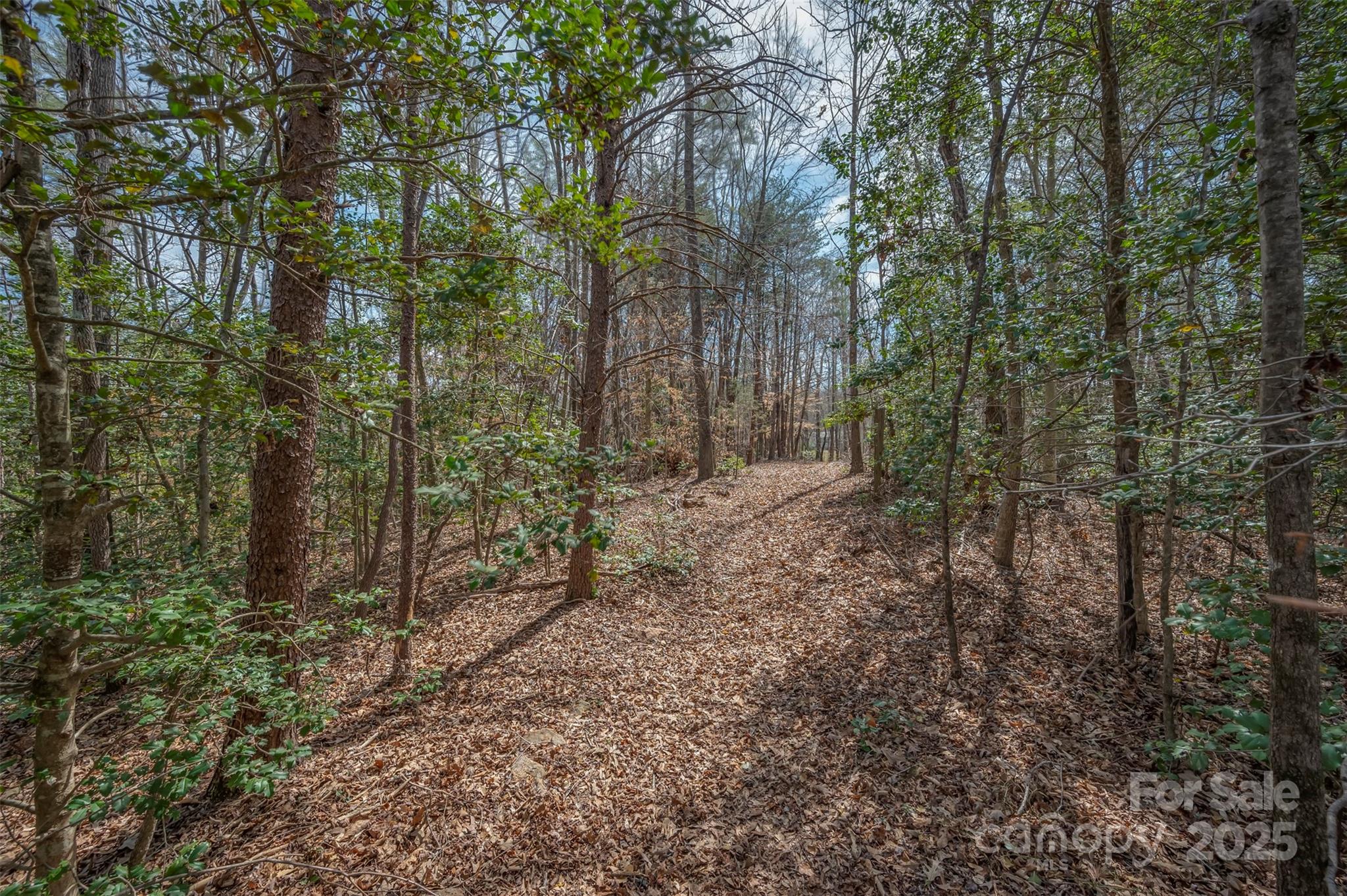 582 County Line Road Rutherfordton NC 28139