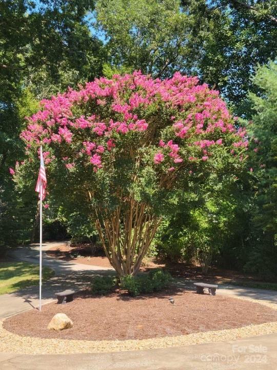 237 Westwood Drive Morganton NC 28655