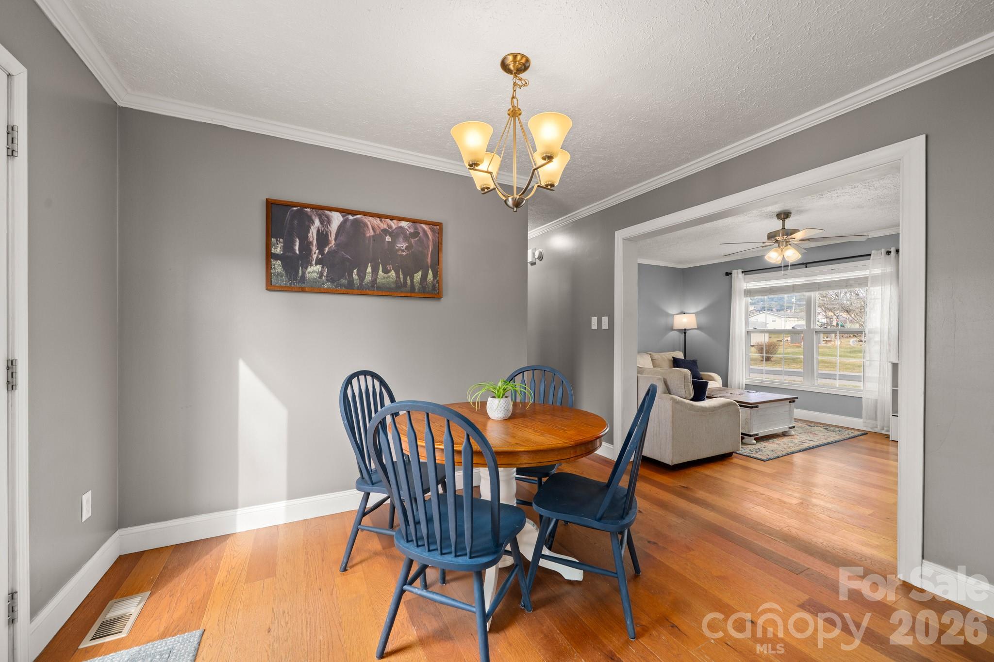 121 James Street Clyde NC 28721