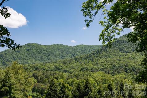 20 Small Mountain Drive Asheville NC 28805
