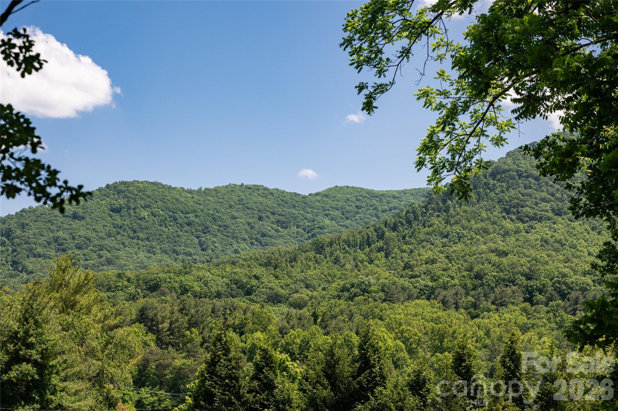 20 Small Mountain Drive Asheville NC 28805