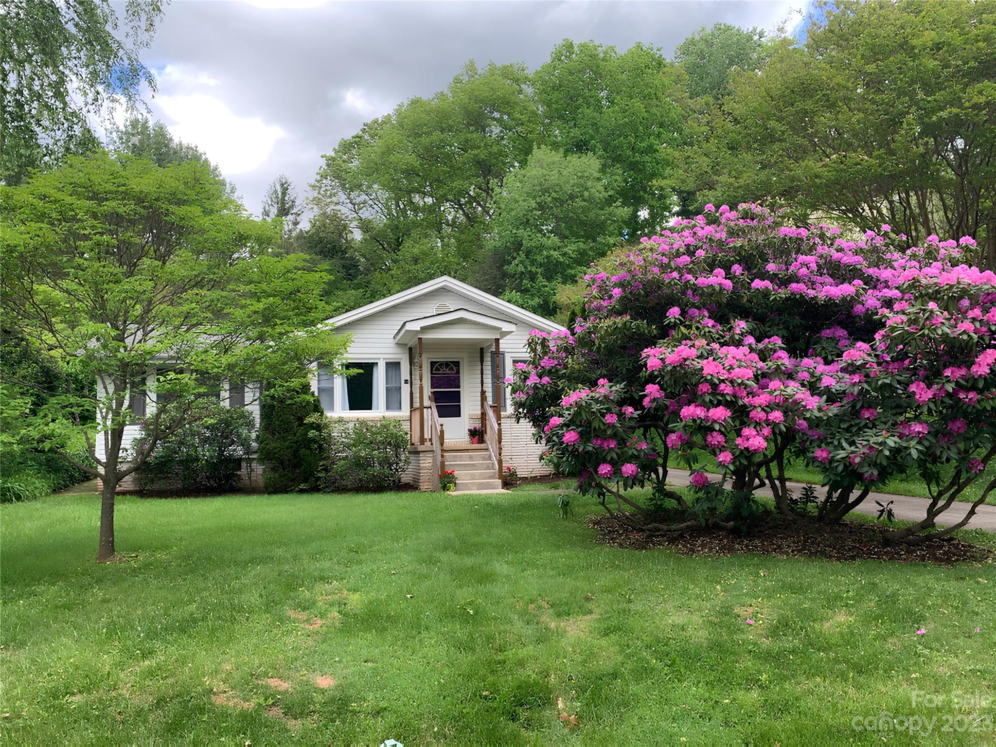 64 Bull Mountain Road Asheville NC 28805
