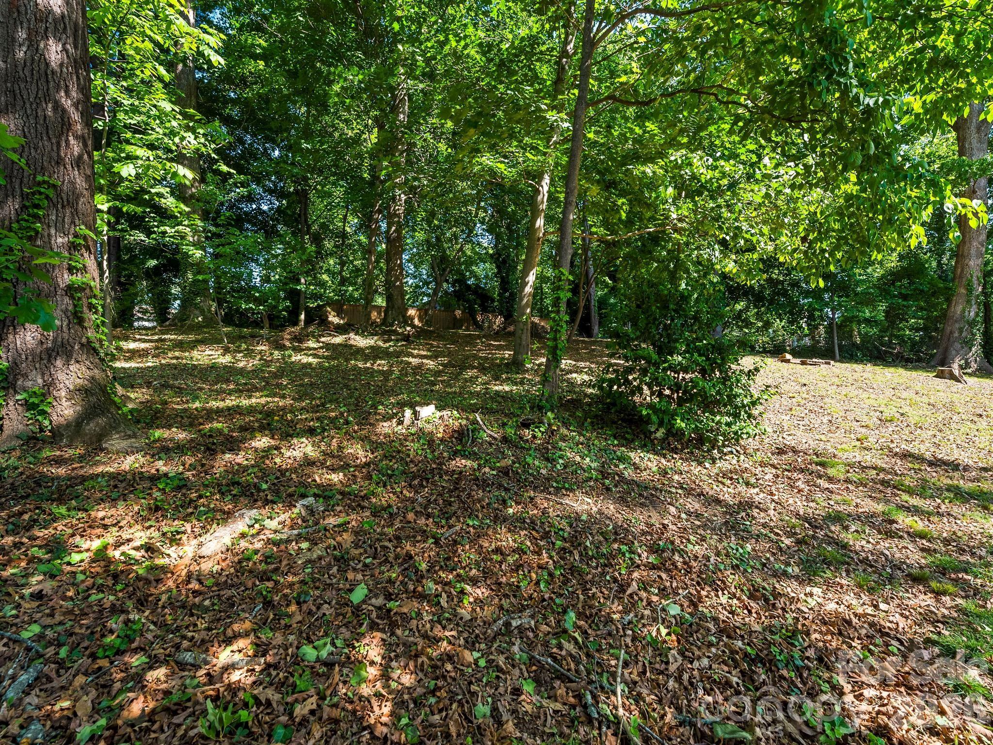 36 Robinwood Avenue Asheville NC 28806