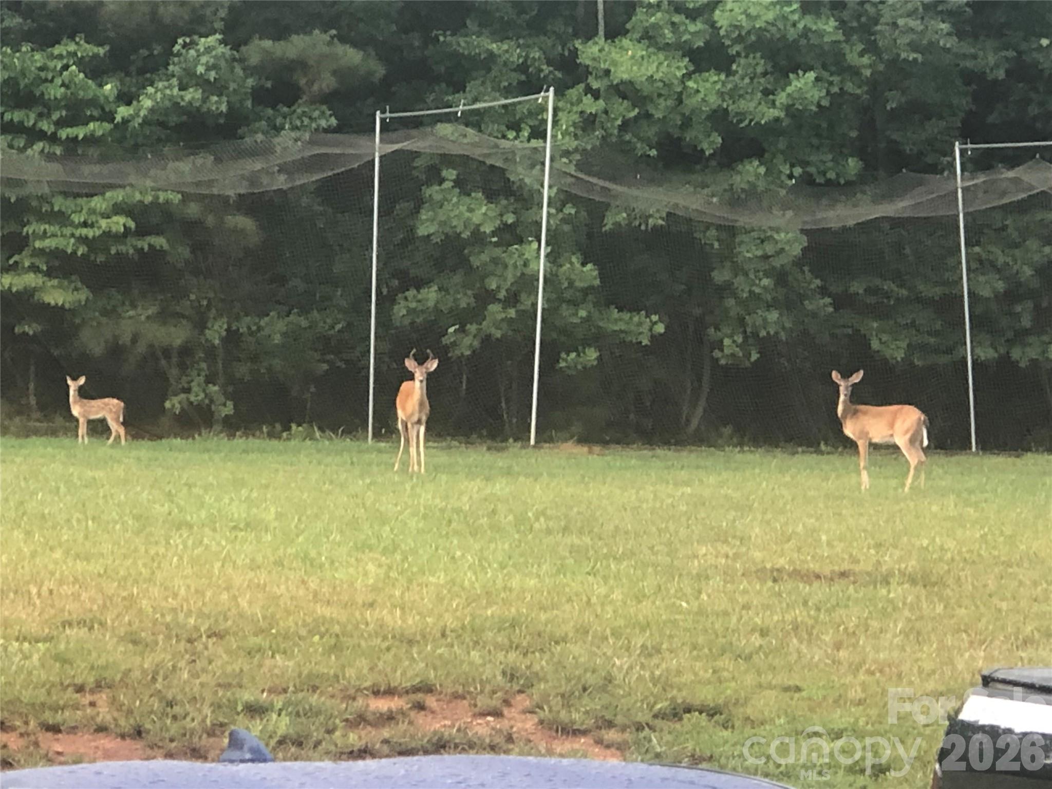 2720 Lakefront Drive Belmont NC 28012